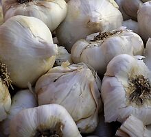 Garlic in the Raw by vipgrafx