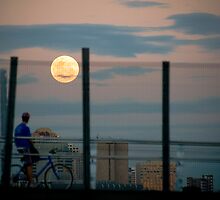 Moon Gazer by Alan Bennett