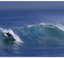 Drop Knee Wall by Dors