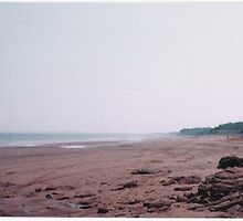 A Special Spot On The Beach by Jessica-June Boehm