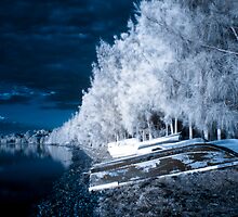 Down By The Lake Again by Naomi Frost