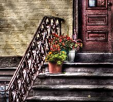 Flower pots on Stairs by Mike Savad
