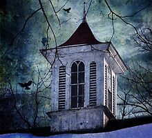 The Cupola by Debra Fedchin