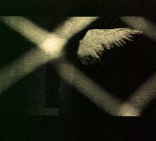 angel shadow by Juilee Pryor