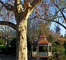 Wagga Wagga Botanic Gardens by Darren Stones