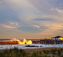 Down the Shore by Debra Fedchin