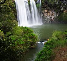 Dangar Falls by Darren Stones