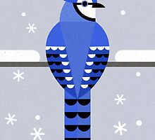 J is for Jay by Scott Partridge