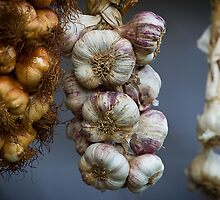 Garlic by warrenphotog