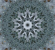 PEACE ON EARTH by dmosher