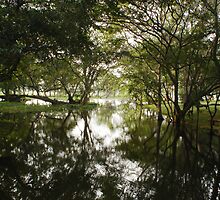 Harabana Sri Lanka by Ben de Putron