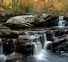 D E V I L ' S D E N F A L L S by Jeffrey S. Rease