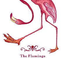 Flamingo of Awkwardness by Brownpapertiger