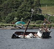 That Sinking Feeling by Craig Goldsmith