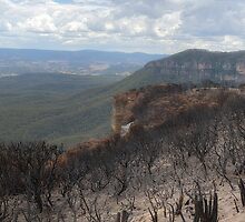 Ashes To Ashes = New Life - Cliff Drive, Katoomba The Blue Mountains NSW - The HDR Experience by Philip Johnson