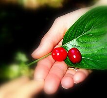 Give by MEV Photographs