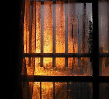 Students can't afford real sunrises by RedEarth