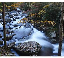 Autumn on Tremont, GSMNP by ThomasRBiggs