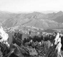 on top of Mt Read, Rosebery, Tasmania by gaylene