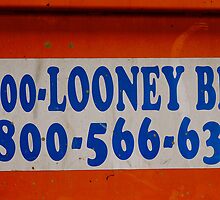 Looney Bins by Julie Marks