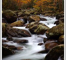 Autumn, Greenbrier GSMNP by ThomasRBiggs