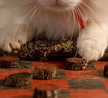 The Strategy by Kalena Chappell