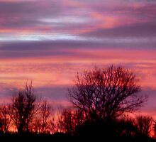 Amazed by hammye01