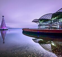 Floating Christmas Tree by ketut suwitra