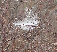 Web-site by Jacob Hyers