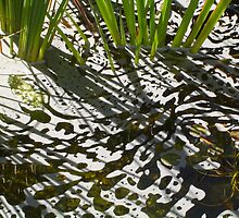 Pond by itzme