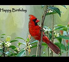 Happy Birthday Cardinal Card by Bonnie T. Barry