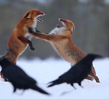 Power struggle by Remo Savisaar