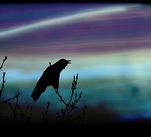 Crow's Dream by Tanya B. Schroeder