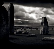 They Come and Go by Paul Tupman