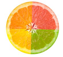 Citrus Fruit by andykazie