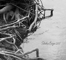 Roots by Tabitha B