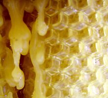 Oozing sweetness by Gozza
