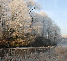 Winter in Brussels by jensNP