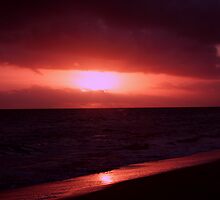 Shepherd's Warning by Barrie Collins