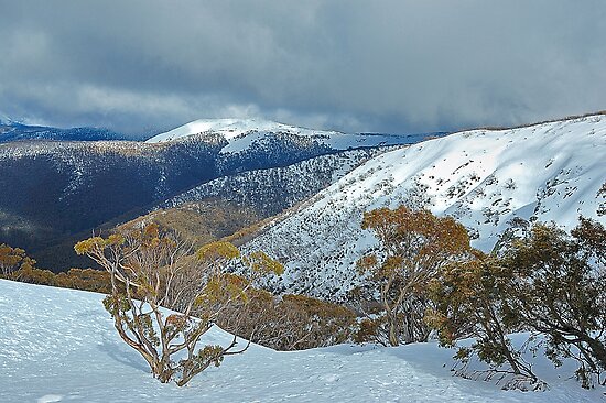 National Parks Victoria