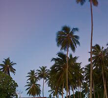 Unawatuna - Sri Lanka by Adrian Rachele
