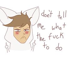 "don't tell me what the fuck to do" weird cats by wade-ebooks