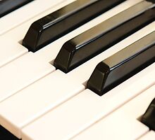 The music of life. by NKSharp