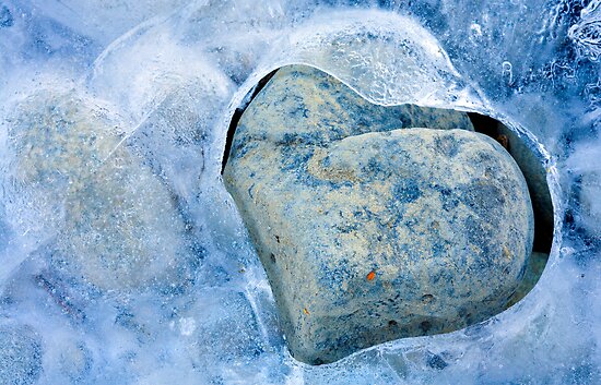 Heart Cold