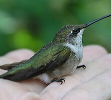 LEND A HELPING HAND by Jeri Dettenheim