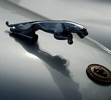Jaguar 120 XK Bonnet Mascot close-up 1 by ragman