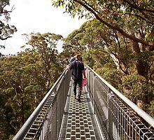 Walking in the tree tops by georgieboy98