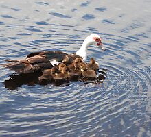 A Family Affair by mgoldst712