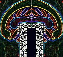 patterns of life - intoxication by michael charlwood