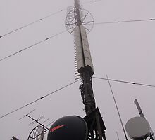 Wired in Mist by taueva faotusia